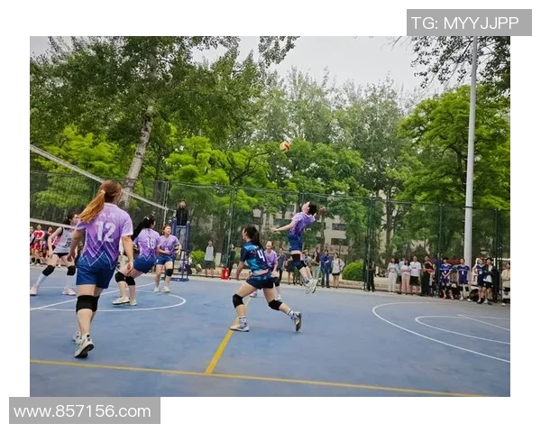 北京排球队技术实力强劲荣登排球技术排行榜第二名